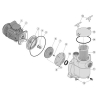 Sta-Rite Bronze Pumpe 5BR Entleerungsstopfen 1/4